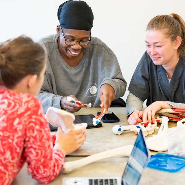 Human Anatomy Class Emphasizes Benefits of Block Plan