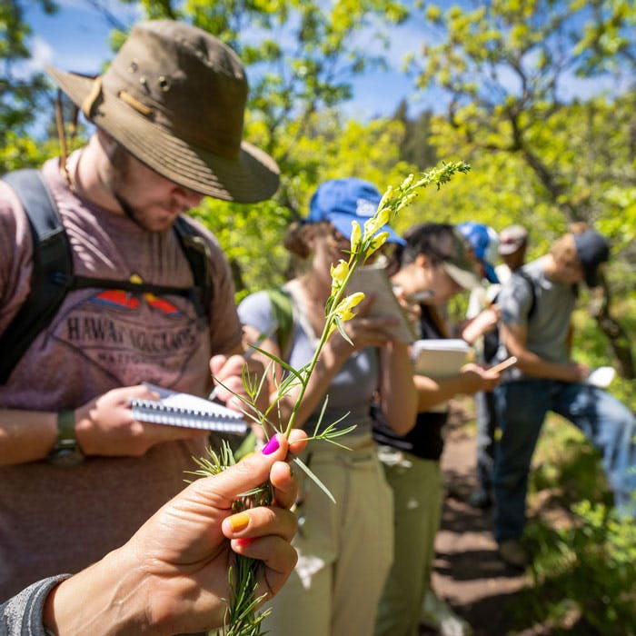 Colorado Location Gives Field Botany 学生 More Opportunities