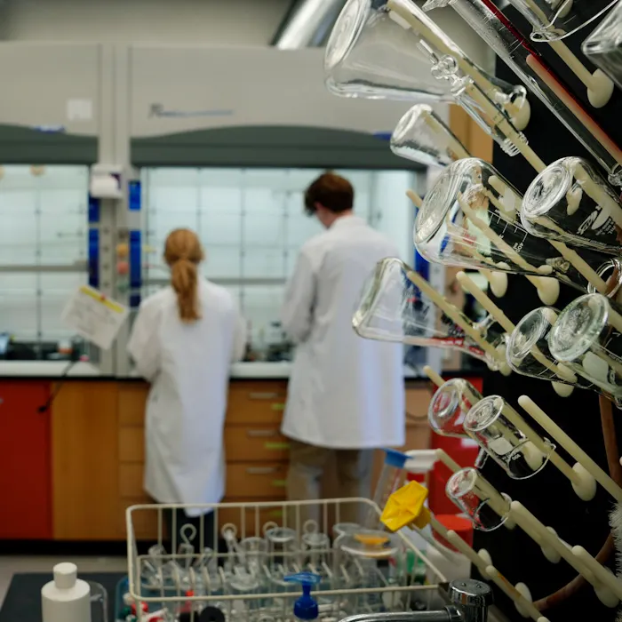 Four Alumni Win National Science Foundation Fellowships